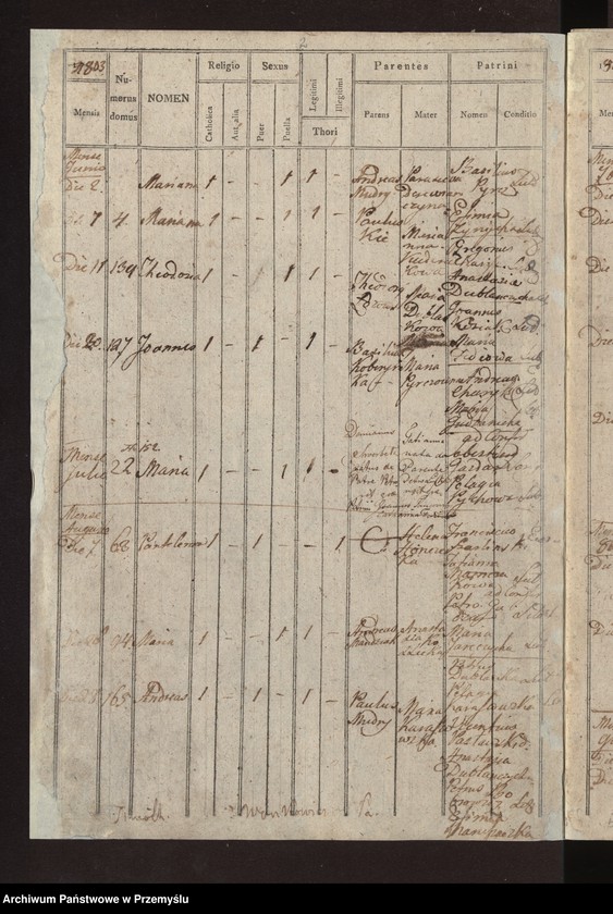 image.from.unit.number "Liber natorum […] pagi Łazy"