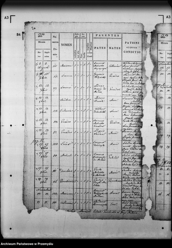 Obraz 7 z jednostki "[Kopie ksiąg metrykalnych parafii Małnów (dekanat Mościska)]"