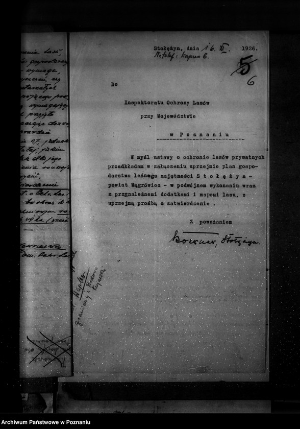 Obraz 10 z jednostki "Majętność leśna Stołężyn powiat wągrowiecki"