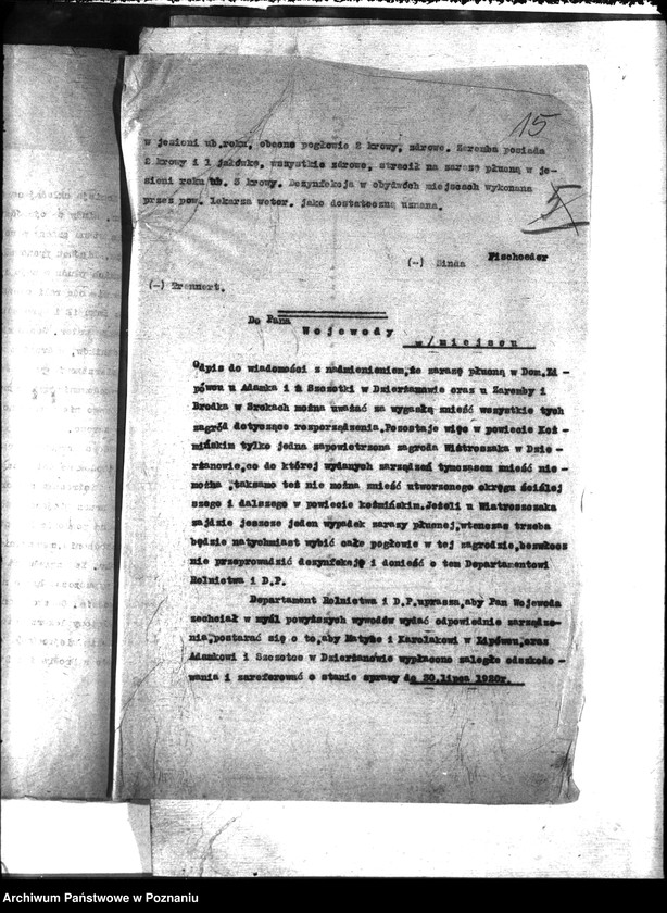 Obraz 19 z jednostki "Zaraza płucna - Koźmin"