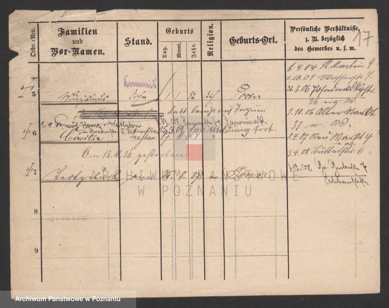 Obraz 17 z jednostki "Kiełbasa - Kiffe"