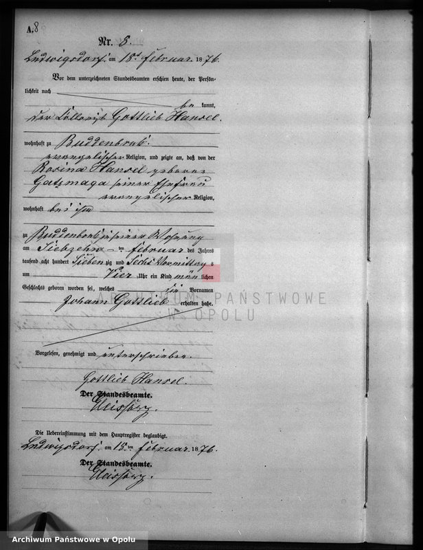 image.from.unit.number "Geburts-Neben-Register Standesamts Ludwigsdorf pro 1876"