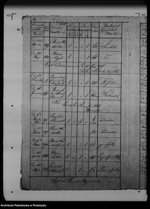 Obraz 18 z jednostki "[Kopie ksiąg metrykalnych parafii Rudki (dekanat Rudki)]"