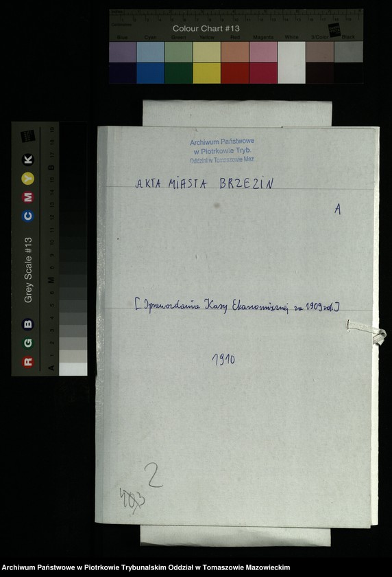 image.from.unit.number "[Sprawozdania Kasy Ekonomicznej za rok 1909]"