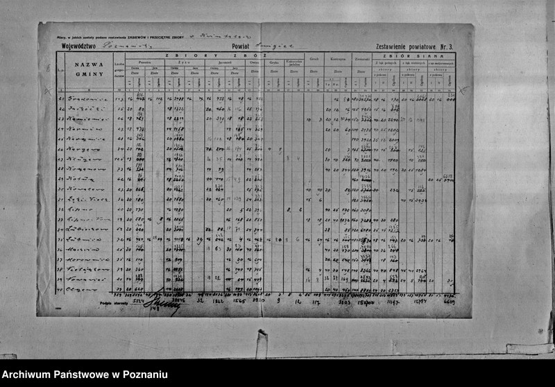 Obraz 8 z jednostki "/Statystyka produkcji rolnej - zestawienie powiatowe - Śmigiel"