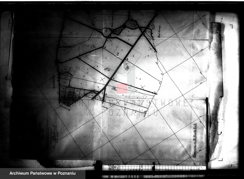 Obraz 12 z jednostki "Przewłaszczenie ziem dotacyjnych Kopanica-Starężynek powiat wągrowieckiego"