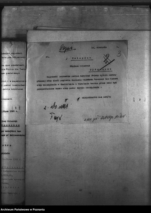 Obraz 7 z jednostki "Zaraza płucna - szczepienia ochronne"