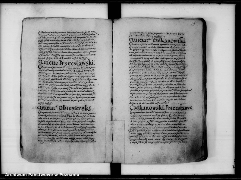 Obraz 20 z jednostki "Inscriptiones, relationes [inducta]"