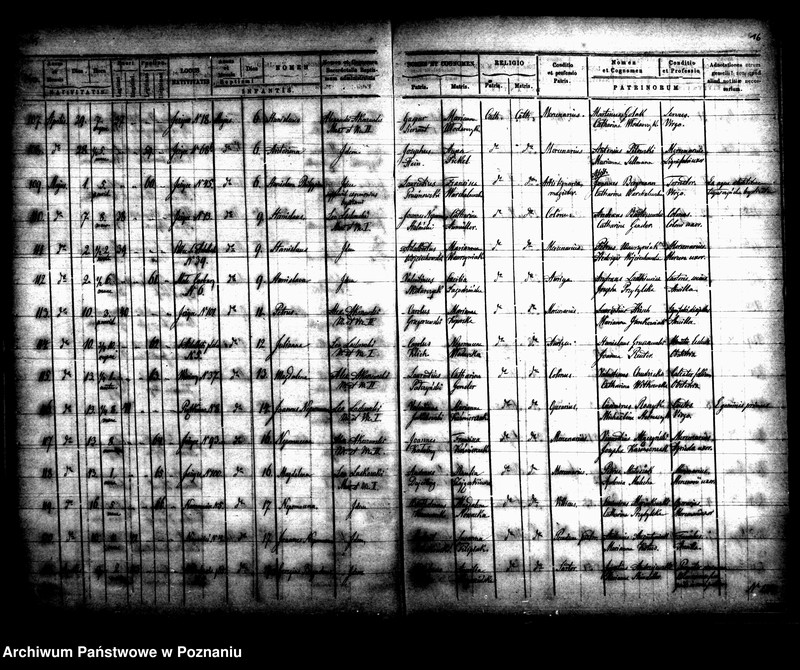 Obraz 11 z jednostki "Księga urodzin"