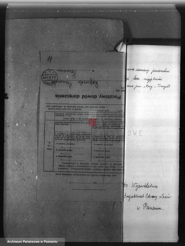 Obraz 16 z jednostki "Majętność leśna Wąsowo w powiecie nowotomyskim"