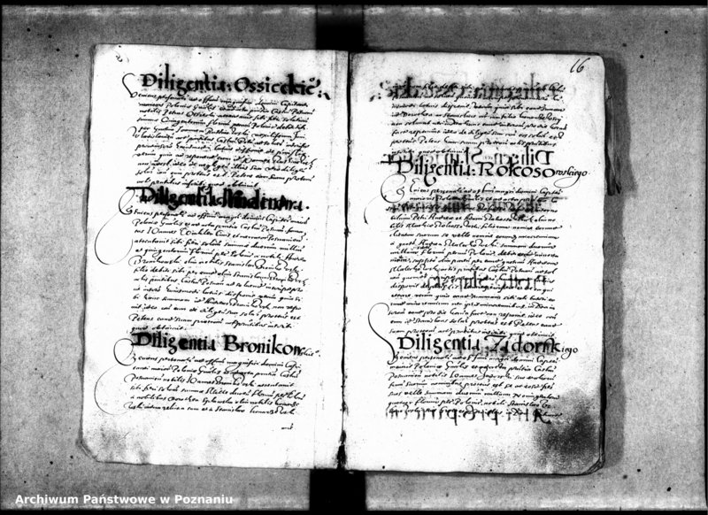 Obraz 20 z jednostki "Inscriptiones, relationes [inducta]"