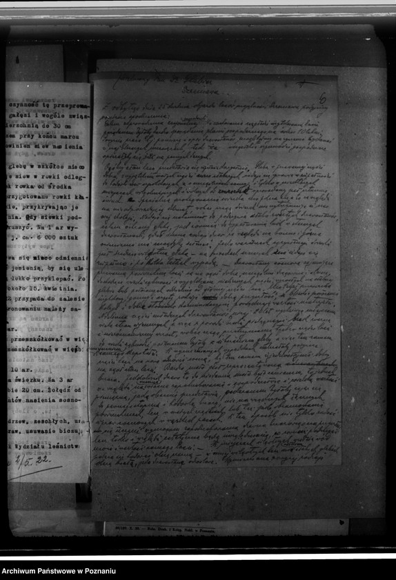 Obraz 10 z jednostki "Zarząd majętności /leśnej/ Szreniawa powiat poznański"