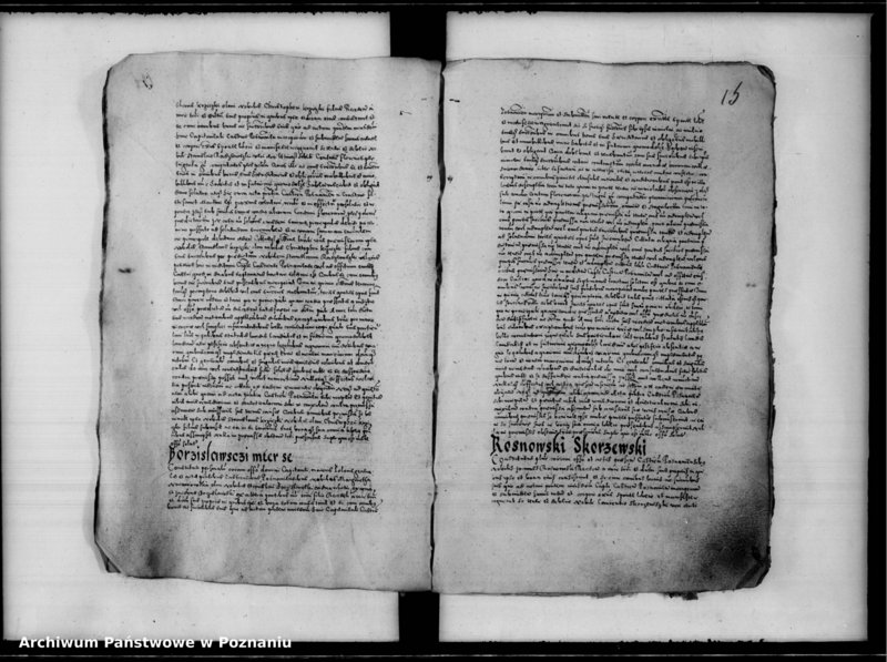 Obraz 20 z jednostki "Inscriptiones, relationes [inducta]"