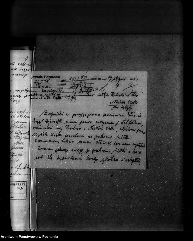 Obraz 8 z jednostki "Majętność leśna Powodowo powiat wolsztyński"