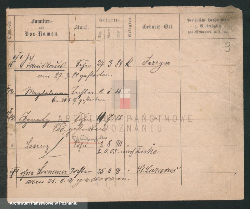 Obraz 9 z jednostki "Lewandowski (żonaci i wdowy)"