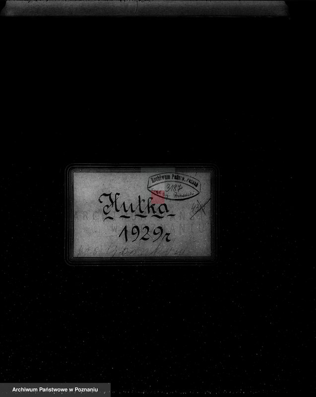 Obraz 4 z jednostki "/Nadzór nad gospodarką leśną w majętności Hutka w powiecie czarnkowskim"