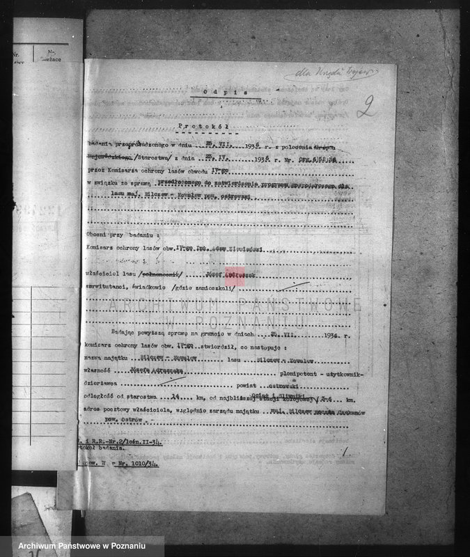 Obraz 6 z jednostki "Nadzór nad gospodarką w lasach majątku Billczew-Kowalew powiat obornicki"