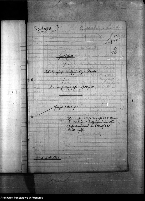 Obraz 20 z jednostki "Budżet Stadnin na rok 1921"