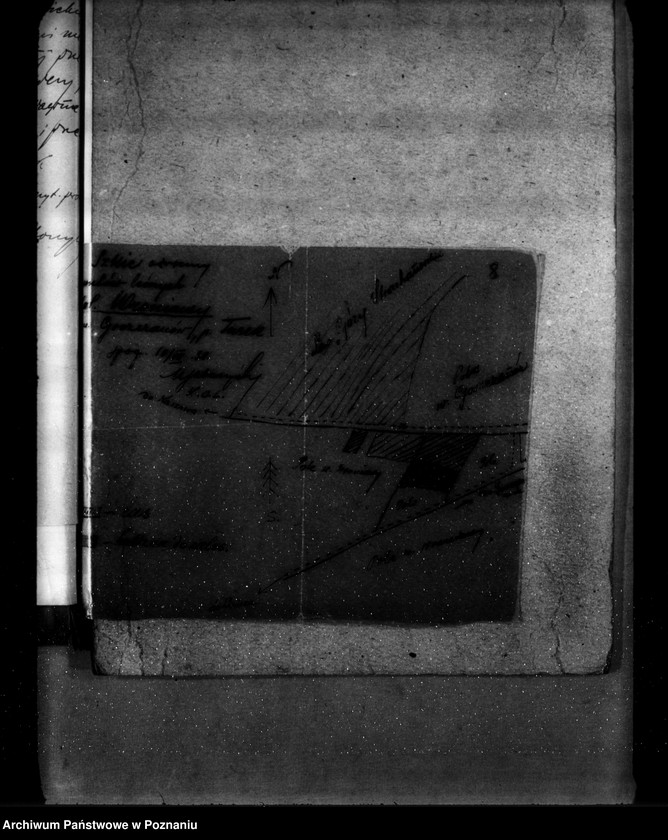 Obraz 12 z jednostki "Gmina Goszczanów powiat turecki /nadzór nad gospodarką leśną/"