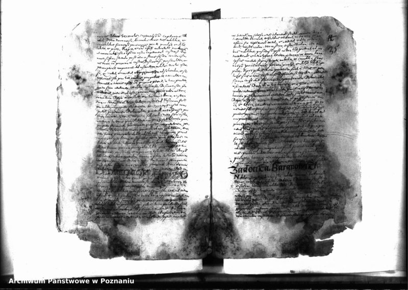 Obraz 15 z jednostki "Decreta officii [inducta]"