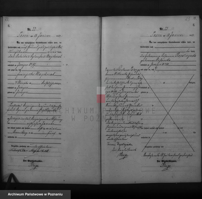 Obraz 13 z jednostki "Księga zgonów"