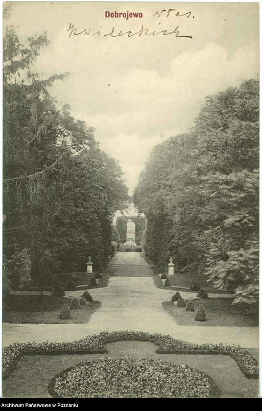 Obraz 1 z jednostki "Dobrojewo - alejka w parku pałacu Franciszka Kwileckiego"