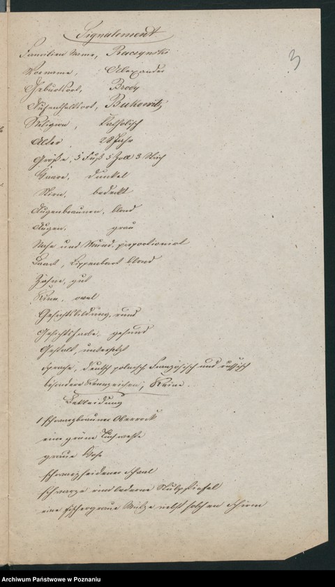 Obraz 7 z jednostki "A. betr. Alexander Raczyński"