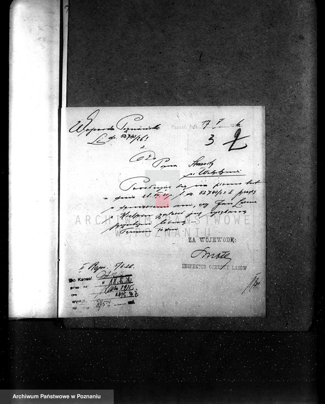 Obraz 8 z jednostki "Majętność leśna Kiełpiny powiat wolsztyński"