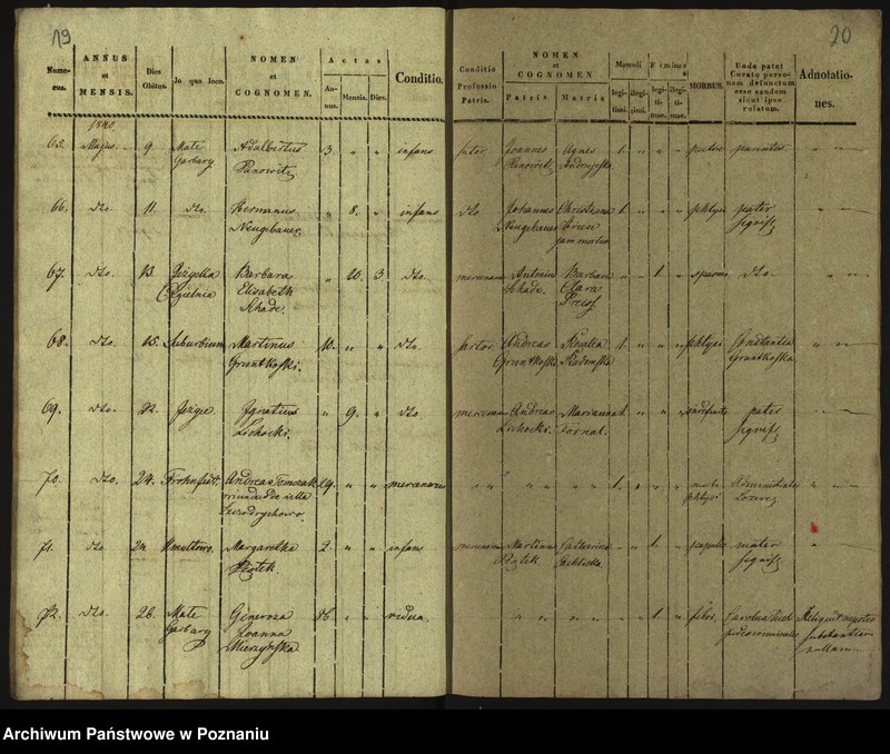 Obraz 13 z jednostki "Księga zgonów"