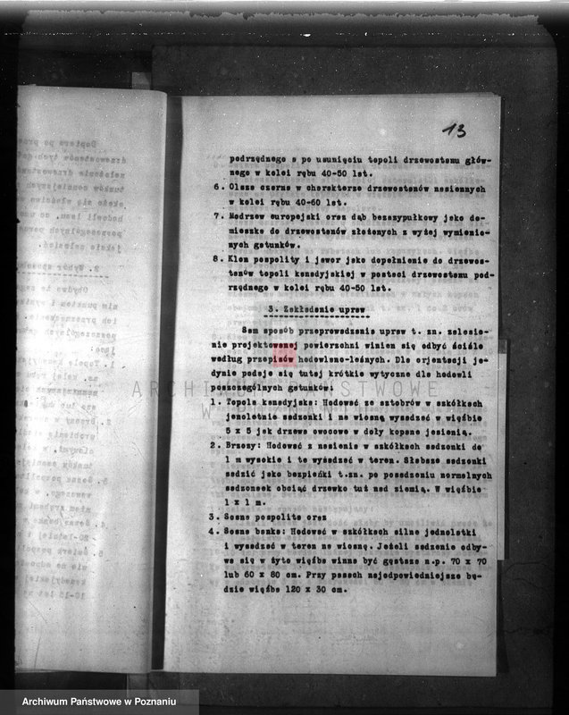 Obraz 17 z jednostki "Dodatkowy plan gospodarstwa leśnego majątku Niemierzewo powiatu międzychodzkiego 1938-1948"