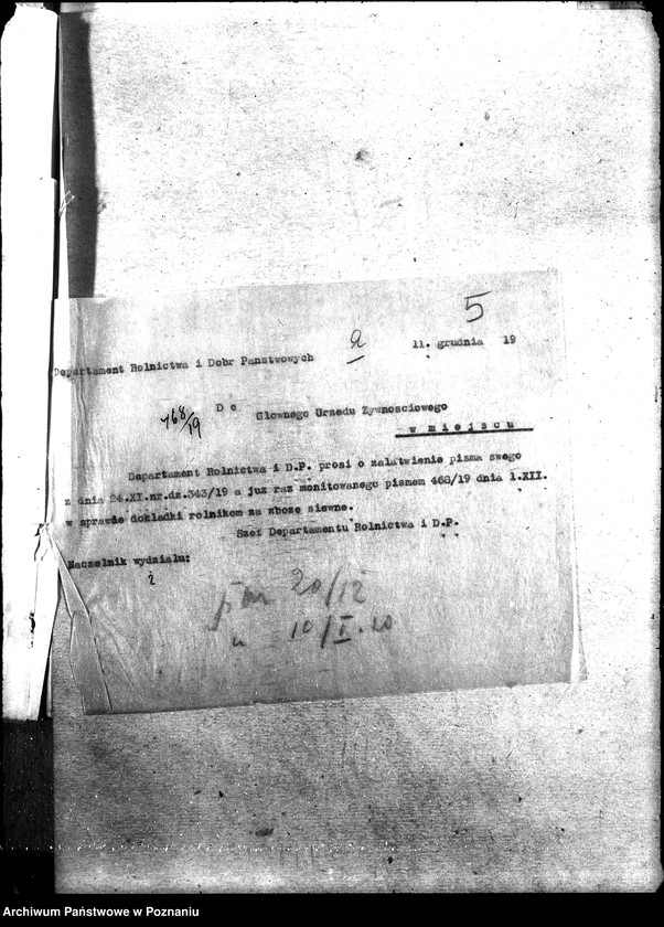 Obraz 10 z jednostki "Zboże siewne i sadzonki"