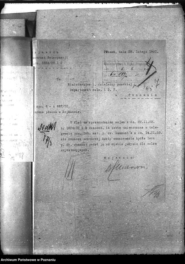 Obraz 11 z jednostki "Zaraza płucna - Rawicz"