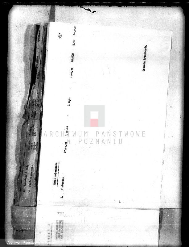 Obraz 14 z jednostki "/Sprawozdania z zalesienia nieużytków na terenie powiatu kępińskiego"