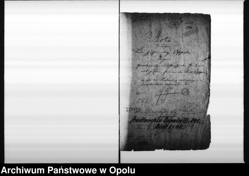 Obraz 4 z jednostki "Acta in Sachen der Fischer bey Oppeln wegen practendirten ausschliessenden Handels mit Fischen, hier in der Stadt Oppeln so wie die Auflösung des ganzen Fischermittels betreffend"