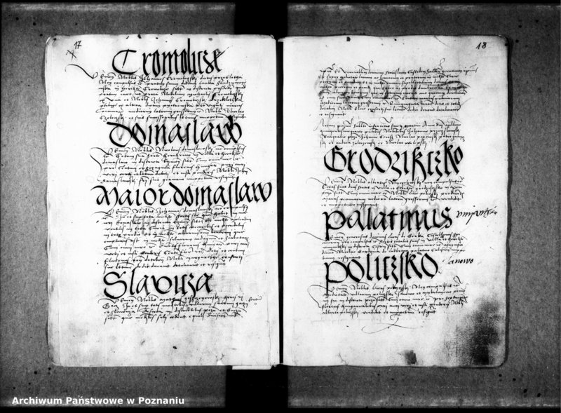 Obraz 14 z jednostki "Resignationes [inducta]"