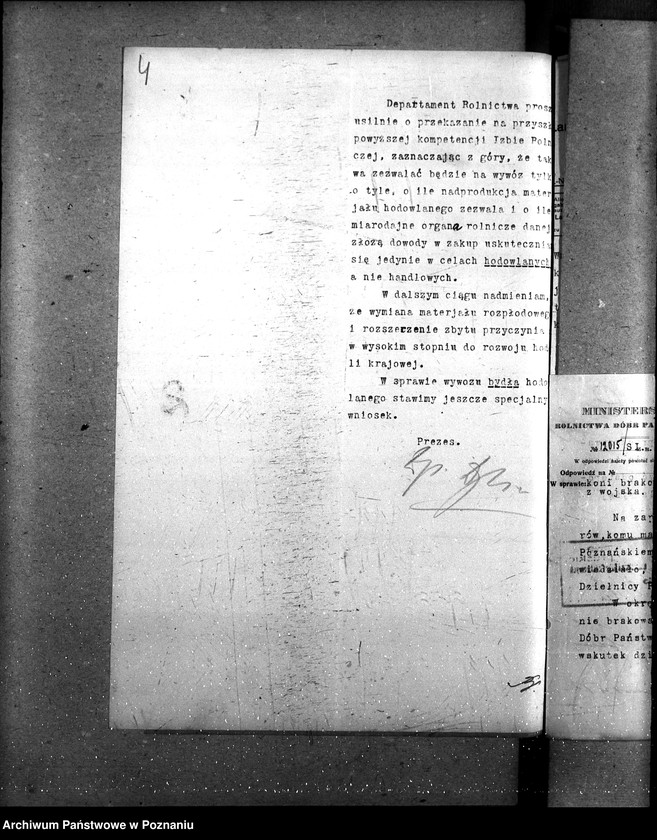 Obraz 9 z jednostki "Wywóz koni"