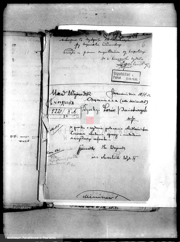 Obraz 10 z jednostki "Drzewostan w majętności państwowej Miniszew"