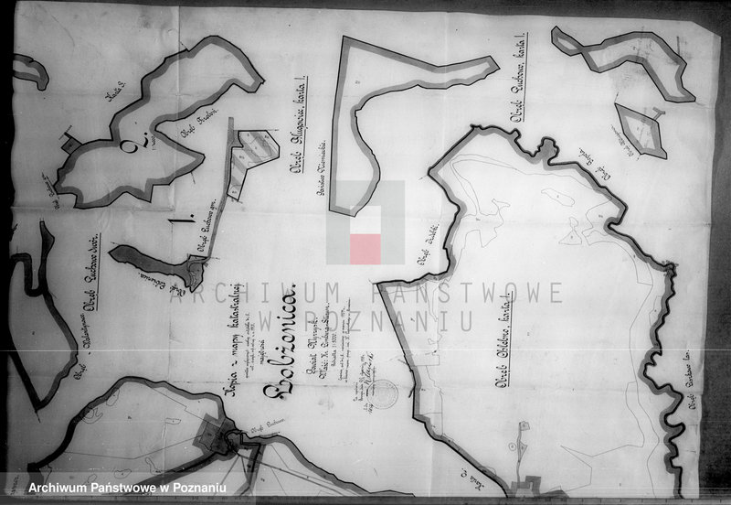 Obraz 19 z jednostki "Rejestr wyłączeń z art. 4 i 5 ustawy o wykonaniu reformy rolnej majątku Łobżenice"