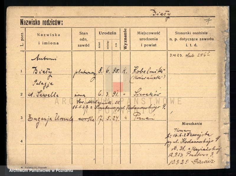 Obraz 11 z jednostki "Biały - Biedowicz"