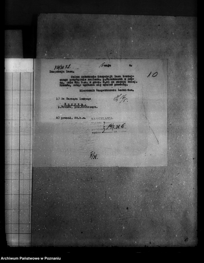 Obraz 14 z jednostki "/Majętność leśna Bugaj / powiat krotoszyński"