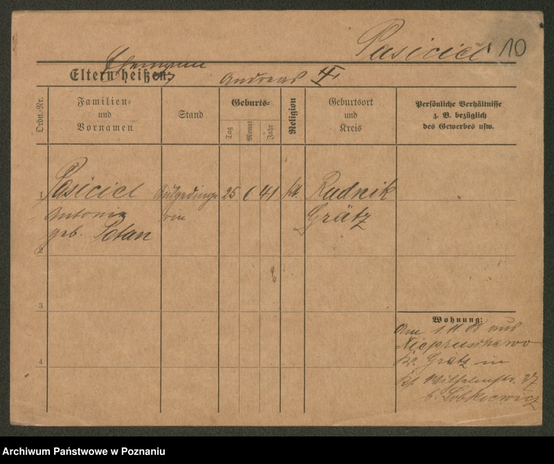 Obraz 12 z jednostki "Pasiciel - Paszkiewicz"