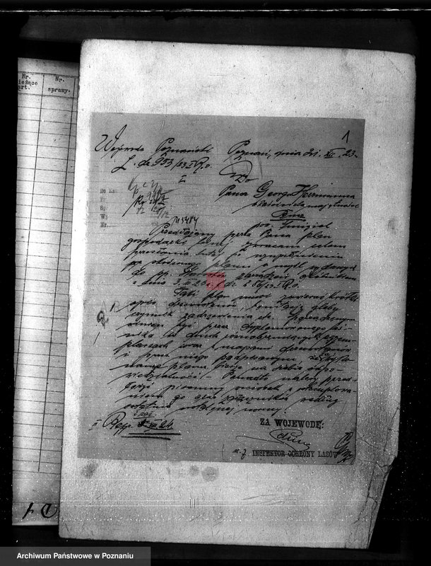 Obraz 5 z jednostki "Nadzór nad gospodarką w lasach majętności Bucz powiat kościański"