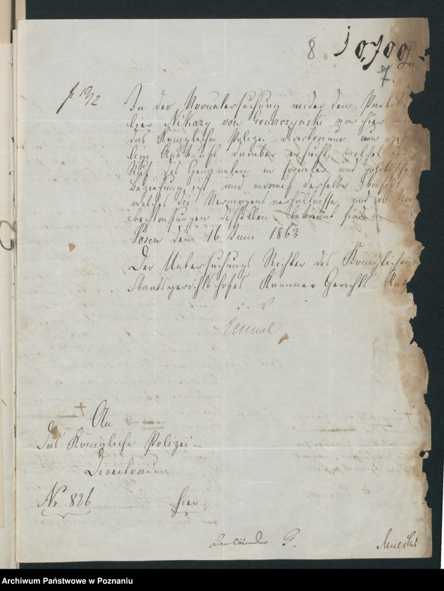 Obraz 12 z jednostki "A. betr. Nikary von Gruszczyński"