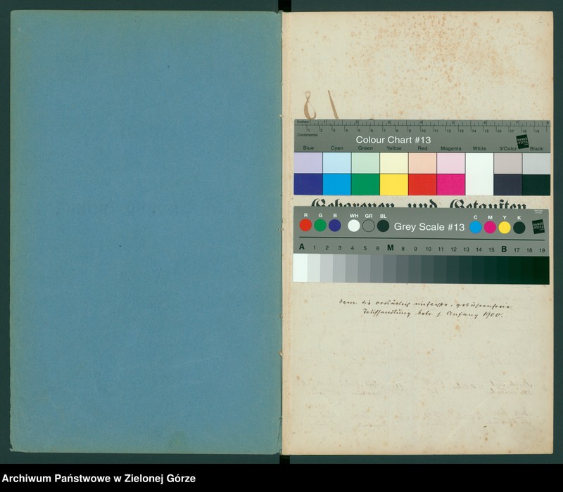 image.from.unit "Kirchenbuch der Geborenen und Getauften zu Meeckow"