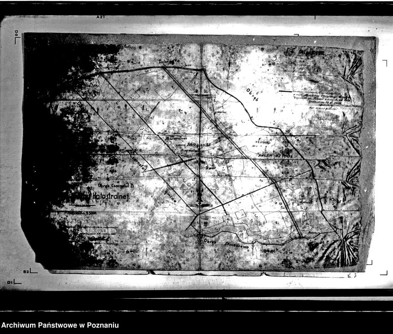 Obraz 8 z jednostki "Majątek Czarnotul powiatu mogileńskiego wyłączenie z art.. 4 i 5 ustawy o wykonaniu reformy rolnej Apolinary Bartz"