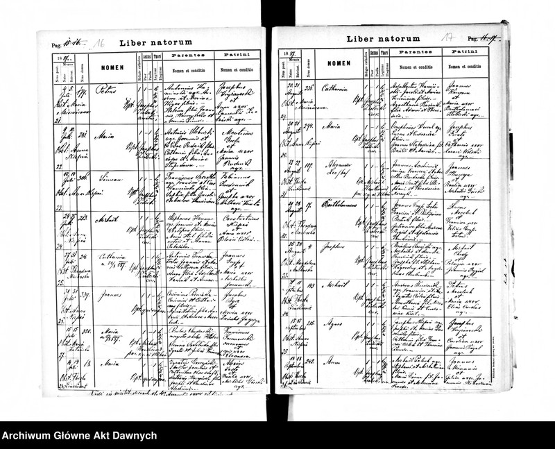 image.from.unit.number "Parafia: Grzymałów. Dekanat: Skałat. Księga metrykalna urodzeń, ślubów i zgonów dla miasta Grzymałów i wsi: Bucyki, Hlibów, Kałaharówka, Kozina, Leżanówka, Łysa Góra (Eleonorówka), Mazurówka, Okno, Ostapie*, Zarubińce*, Pajówka, Podlesie, Poznanka Hetmańska, Czechowa**, Wolica**."