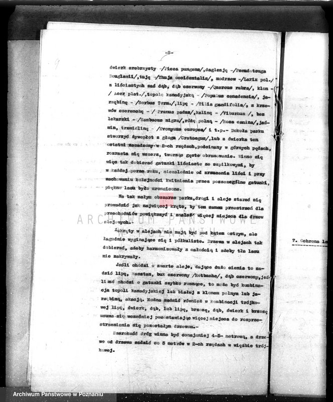 Obraz 13 z jednostki "/Nadzór nad gospodarką leśną gminy miasta Czarnkowa"