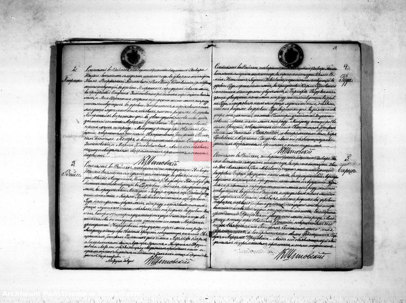 image.from.unit.number "Duplikat aktov rodivšichsja, umeršich i brakosočetavšichsja vejsejskogo rimsko-katoličeskogo prichoda na 1876 god"