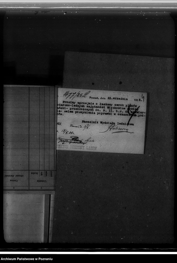 Obraz 8 z jednostki "Majętność leśna Więckowice powiat poznański"