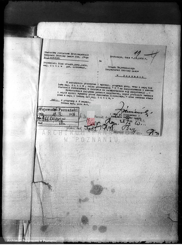 image.from.unit.number "Nadzór nad gospodarką w lasach majętności Gutów"
